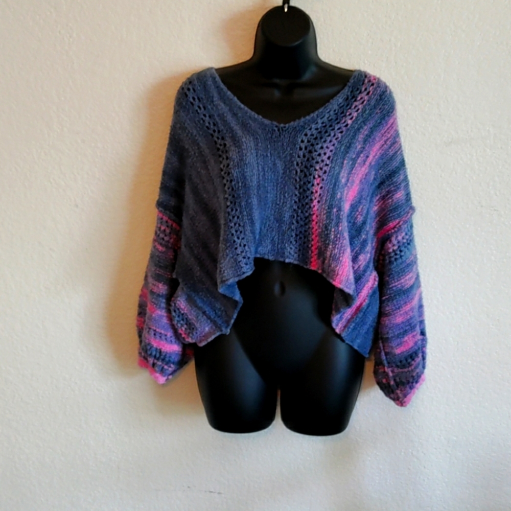 Free People Blue and Pink Cropped Knit Sweater